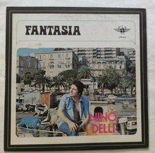 Nino delli fantasia usato  Italia