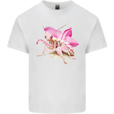 Orchid mantis kids for sale  COVENTRY