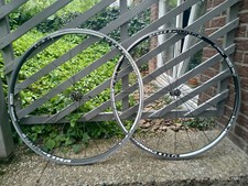 Rennrad laufradsatz prolite gebraucht kaufen  Vlotho