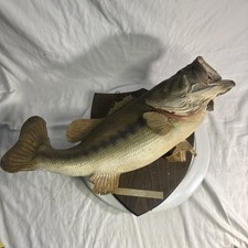 Vintage largemouth bass for sale  Knoxville