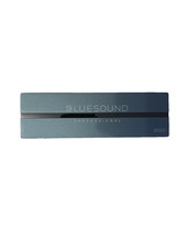 Bluesound professional b100s gebraucht kaufen  Schwarzenbruck