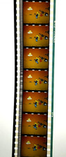 35mm kia ora for sale  WESTCLIFF-ON-SEA