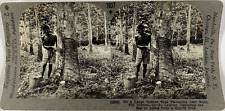 Keystone stéréo collecting d'occasion  Pagny-sur-Moselle