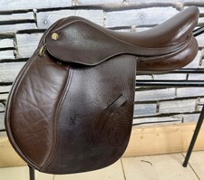 Wide gfs pony for sale  LLANGOLLEN