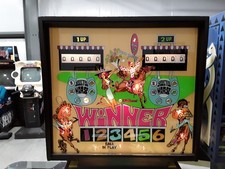 Winner pinball machine for sale  North Olmsted
