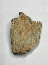 Sauropod fossil guettioua. for sale  SOLIHULL