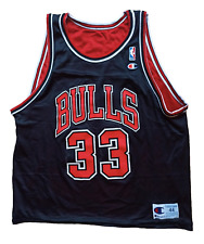 Champion scottie pippen gebraucht kaufen  Würzburg