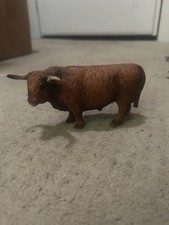 Scottish highland bull for sale  East Setauket