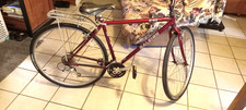 Raliegh hybrid cross for sale  Longview