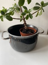 Deko topf rost gebraucht kaufen  Tittmoning
