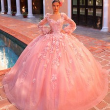Vestido de baile rosa Quinceanera apliques 3D flor princesa doce 16 comprar usado  Enviando para Brazil