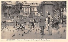 Postcard social history for sale  BRISTOL