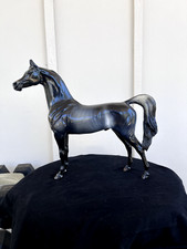 Peter stone horses for sale  Santa Rosa