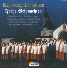 Frohe weihnachten regensburger gebraucht kaufen  Berlin