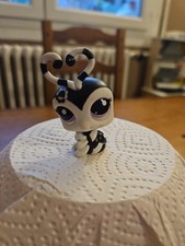 Petshop insecte noir d'occasion  Mouy