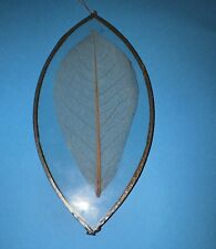 Pressed skeleton leaves for sale  DAGENHAM