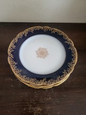 Jpl limoges porcelain for sale  Yonkers