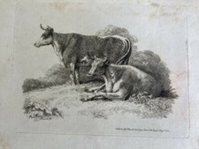 Antique samuel howitt for sale  LONDON