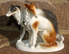 Windhund barsoi paar gebraucht kaufen  Schwelm