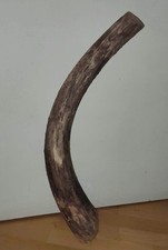 Schwemmholz treibholz schöner gebraucht kaufen  Duisburg