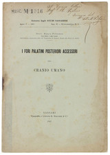 Fori palatini posteriori usato  Villarbasse