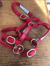 dually halter for sale  CAMBORNE