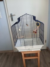 Vogelvoliere breit tief gebraucht kaufen  Mertloch, Naunheim, Welling