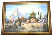 Large framed desert for sale  Racine