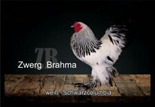 Fußmatte schmutzfangmatte hü gebraucht kaufen  Limbach-Oberfrohna