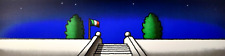 Tino stefanoni notturno usato  Treviso