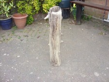 Large driftwood for sale  IPSWICH