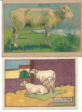 Chromos moutons d'occasion  Étrœungt