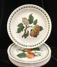 portmeirion dinner plates for sale  Youngstown