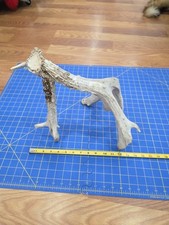 Whitetail deer self for sale  Hill City