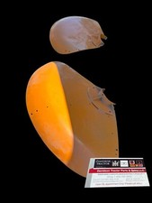 Pair minneapolis moline for sale  Roann