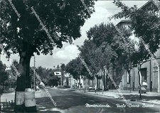 Cl481 cartolina monterotondo usato  Tramonti