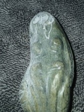 4500 year old for sale  Parachute