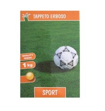 Sementi per tappeto usato  Poggio Rusco