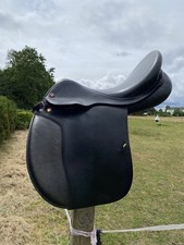 Prestige silerstar vielseitigk gebraucht kaufen  Lübben-Umland II