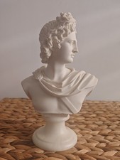 Italian marble bust for sale  STOURBRIDGE