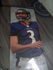 Banner Baltimore Ravens 20º Aniversário, Dupla Face, 8 pés, Qualidade Comercial comprar usado  Enviando para Brazil