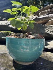 Ceramic planter pot for sale  Aspers
