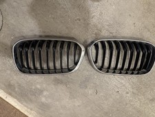 Riginal bmw nieren gebraucht kaufen  Erkrath