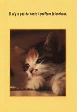 Cpsm carte postale d'occasion  Toulon-