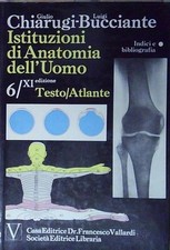 Chiarugi bucciante istituzioni usato  Italia