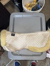Roma merino sheepskin for sale  Coram