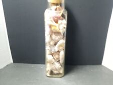Collection sea shells for sale  Sebring