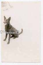 Vintage photo black d'occasion  Toulon-