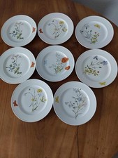 Hutschenreuther selb jurvel gebraucht kaufen Hutschenreuther selb jurvel gebraucht kaufen  Michelstadt