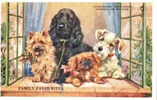 Cairn terrier sealyham for sale  Moorpark
